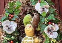 Zaunkoenig Tuerkranz FKB 2